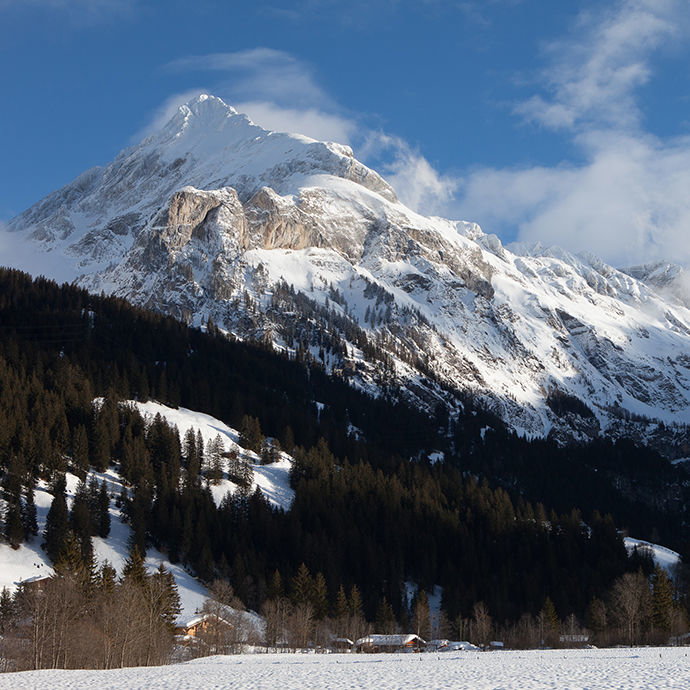 Événements hivernaux